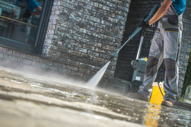 Best Fleet Vehicle Washing  in Luckey, OH