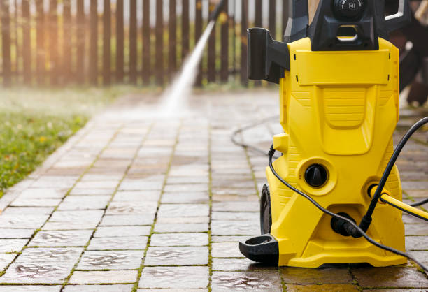 Animal Enclosure Cleaning in Luckey, OH