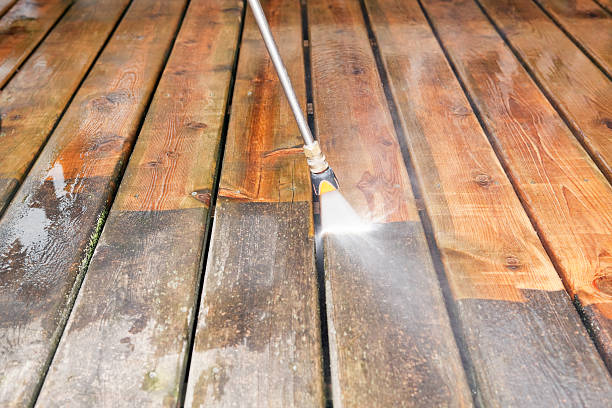 Best Animal Enclosure Cleaning  in Luckey, OH